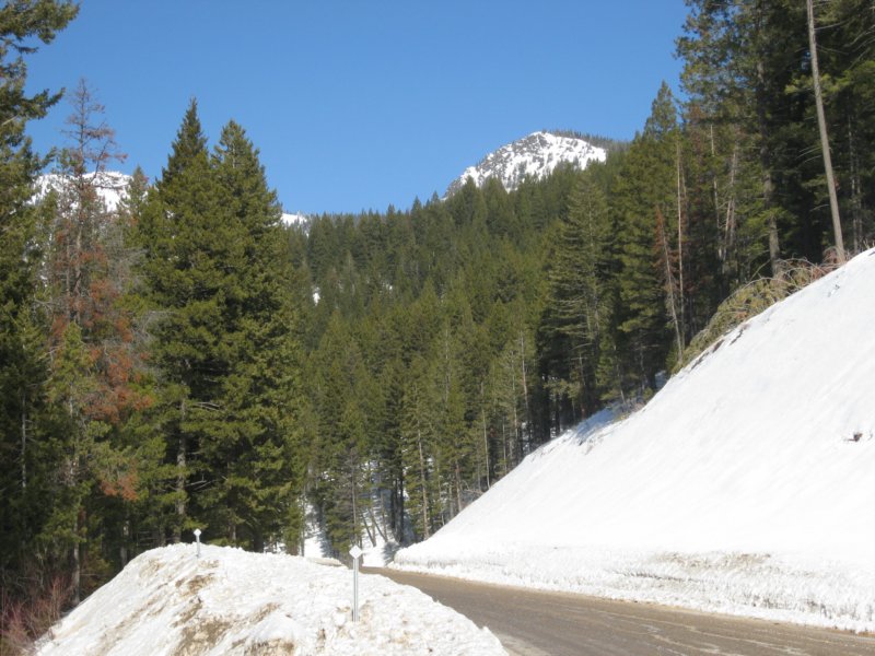 montana_0065.jpg