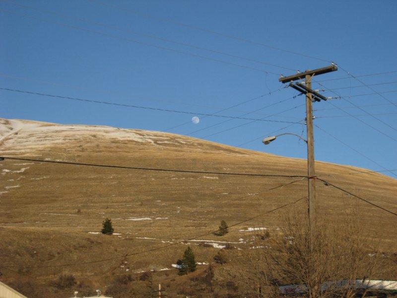 montana_0115.jpg